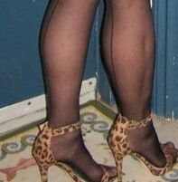 Cougar in Leopard