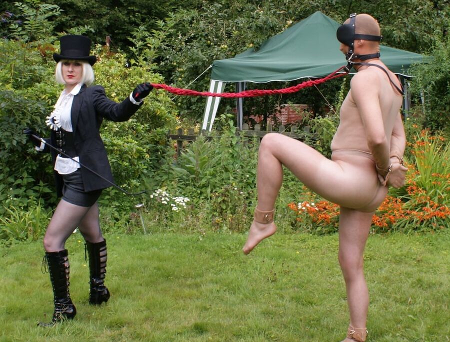 Nylon pony