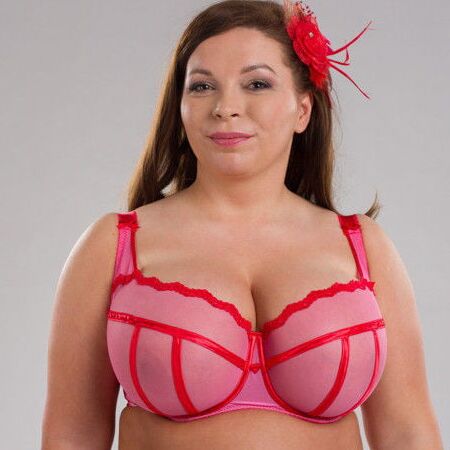 Bra from the net