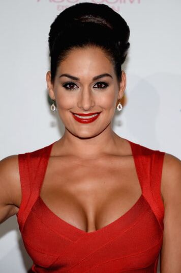 WWE Nikki Bella