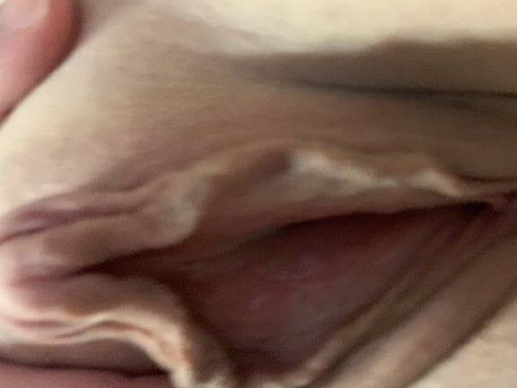 Pussy collection