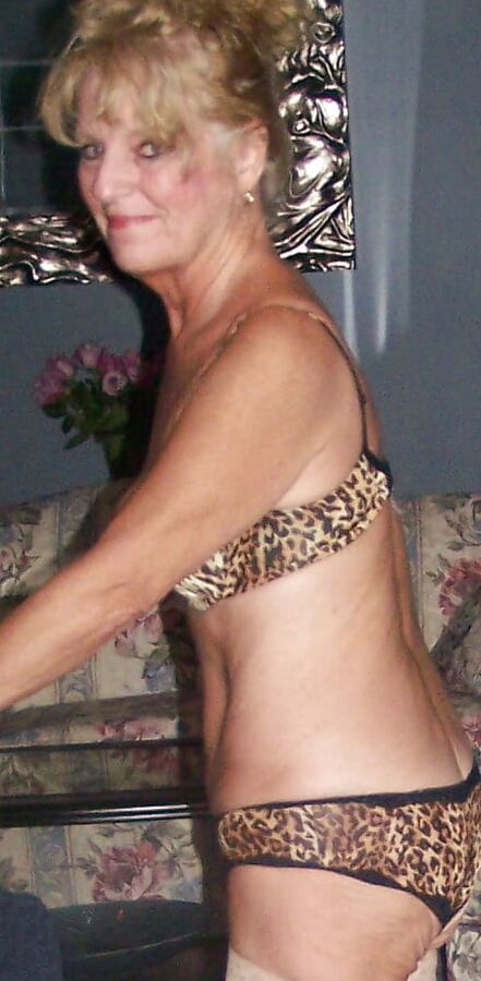 Cougar in Leopard
