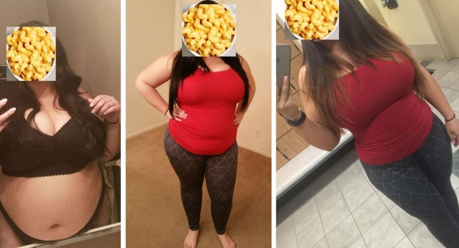 Feedee Comparison Pt.