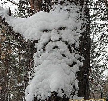 Completely Off Topic! Just Cool Pics