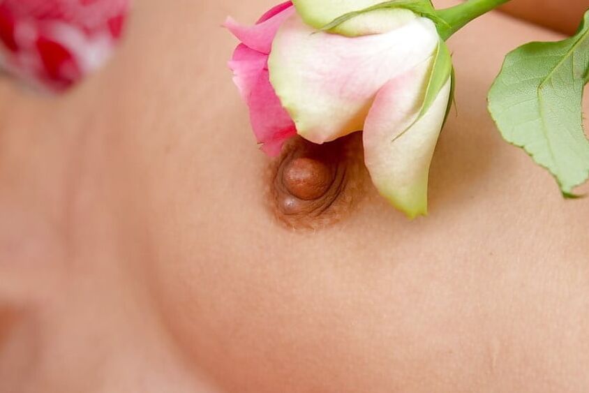 Flowers II