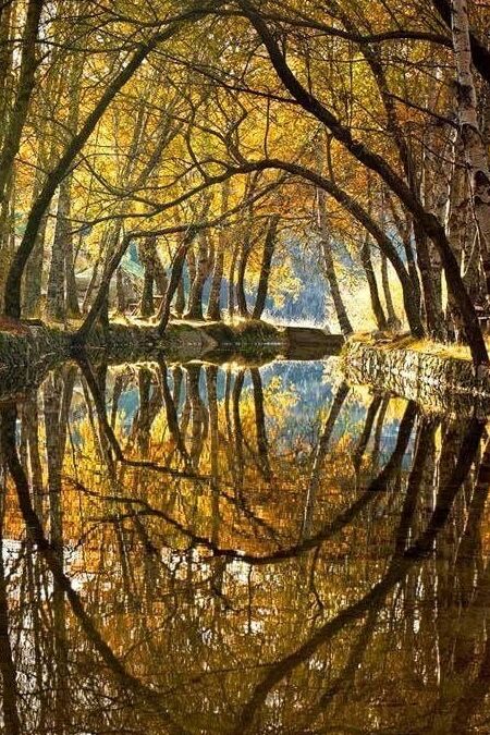 Completely Off Topic! Just Cool Pics