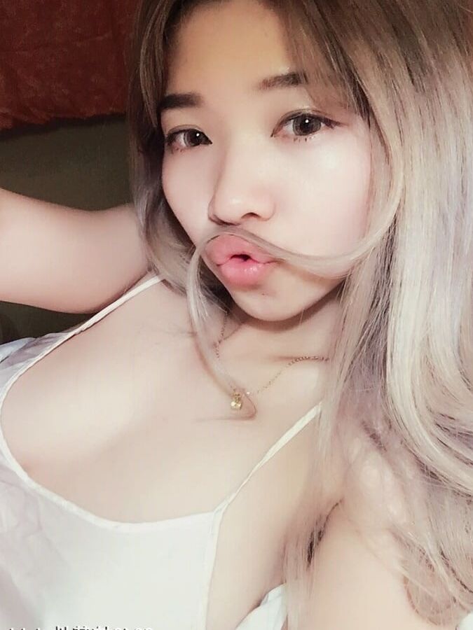 Chinese model leaks