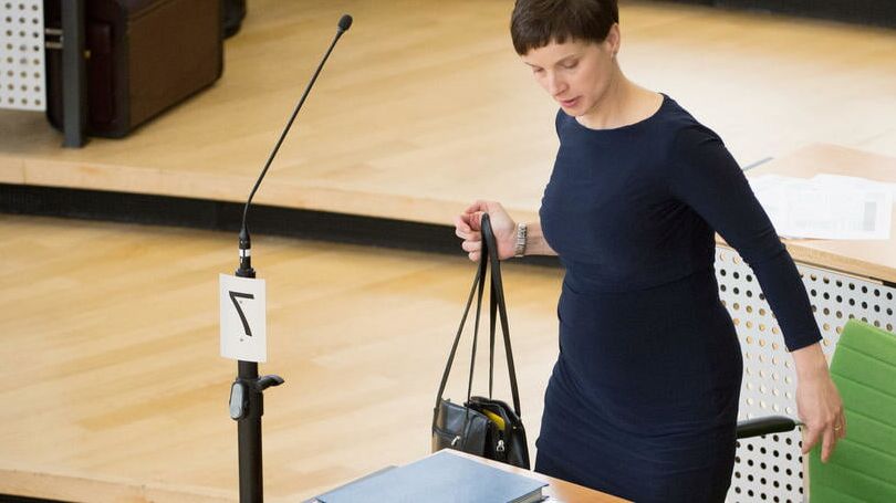 Frauke Petry - dauerschwangere Schlampe