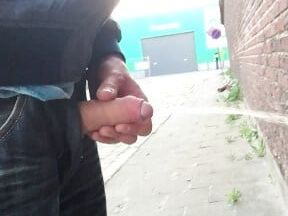 Cocks Pissing