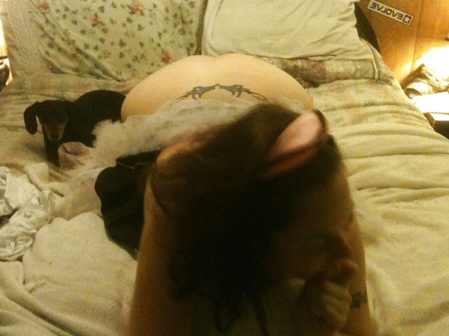 MORE BBW Wife taking BBC