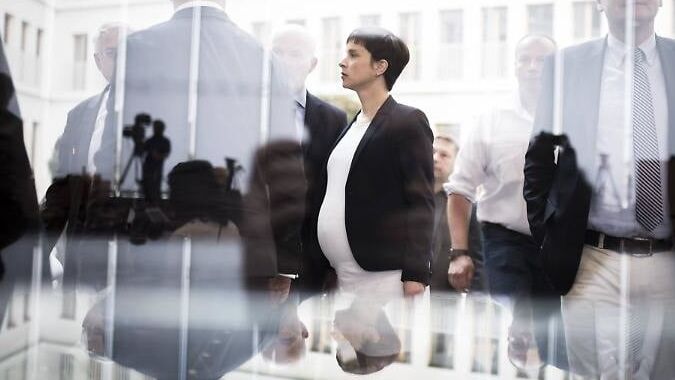 Frauke Petry - dauerschwangere Schlampe