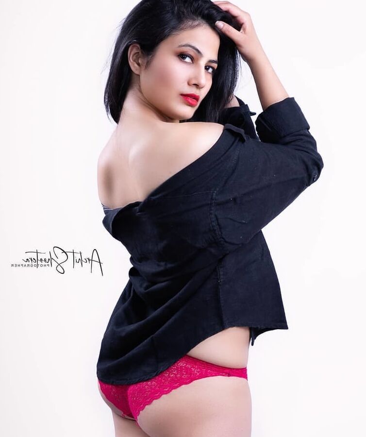 model mix
