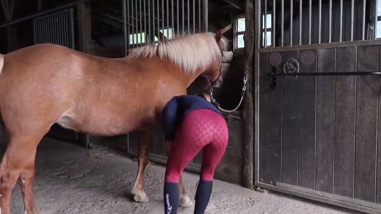 girls in jodhpurs