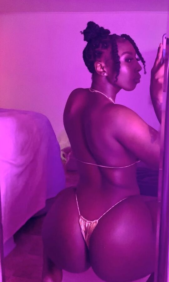 coco bunnies