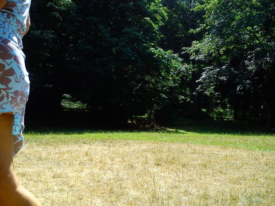 At the Park picnic