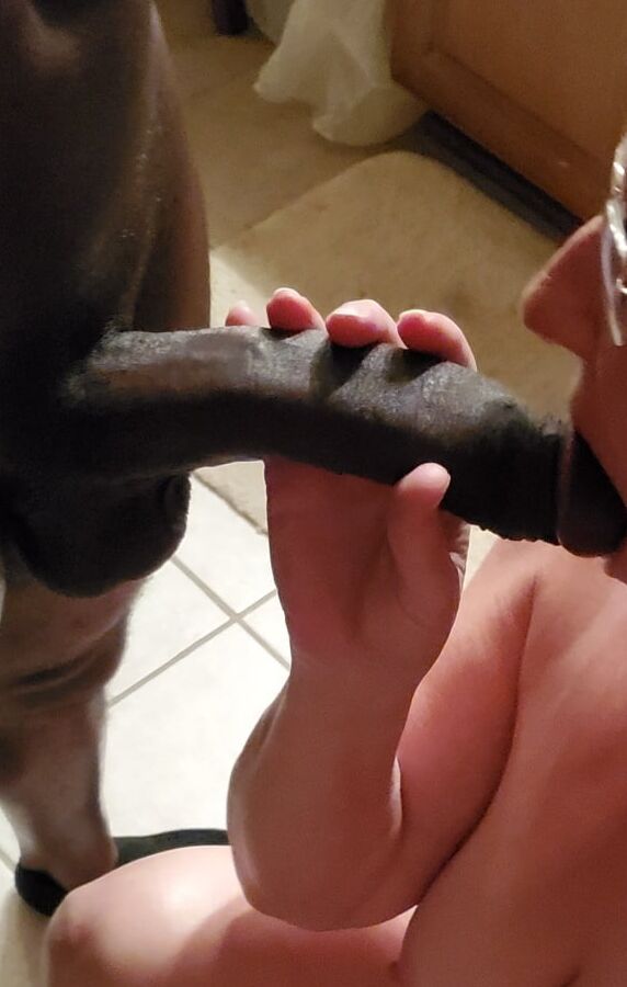 Another New BBC Stud