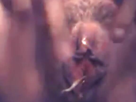 Capturas V