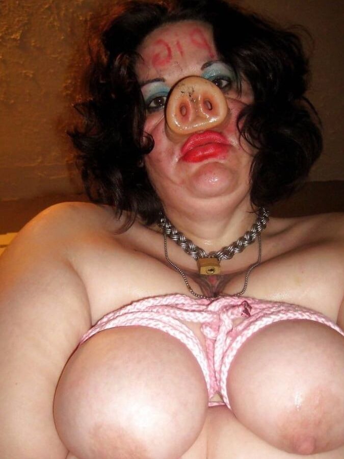 Pig, Truie, Schwein