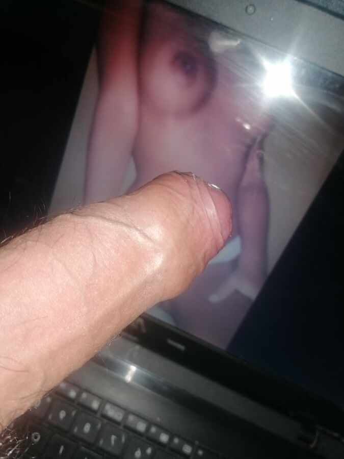 tributo adoramos
