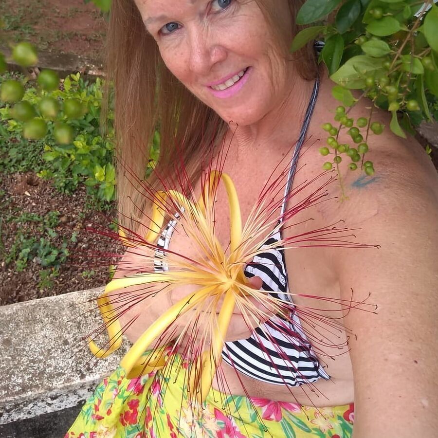 coroas brasileiras top - sueli rosumek