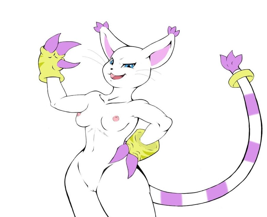 SoloSpotlight: Gatomon