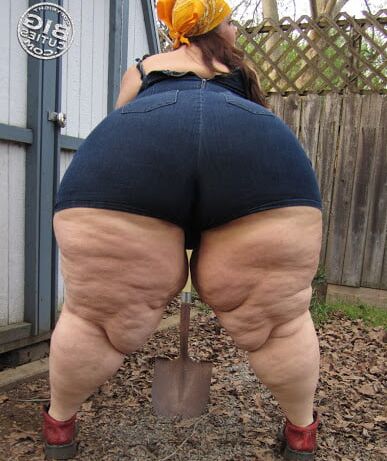 Gordas culonas MIX by Troz
