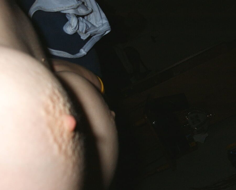 Shep sent me pictures