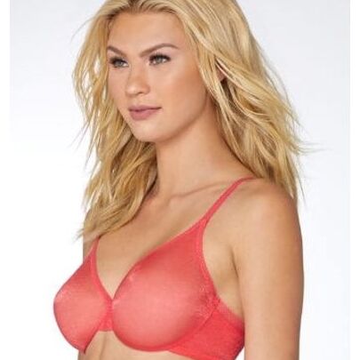 Ladies in Lingerie -