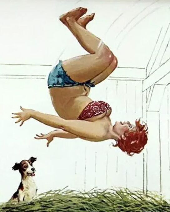 Plus-Size Pin-Up Hilda