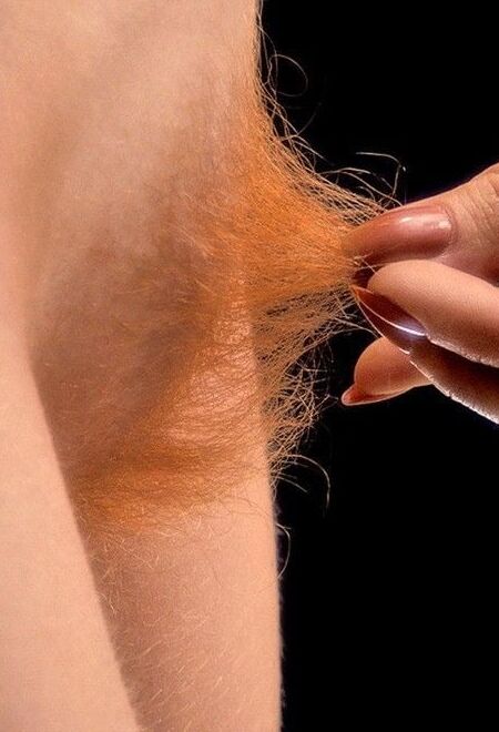 Perfect hairy dream