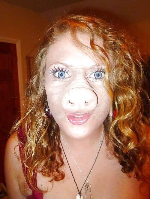 Pig, Truie, Schwein