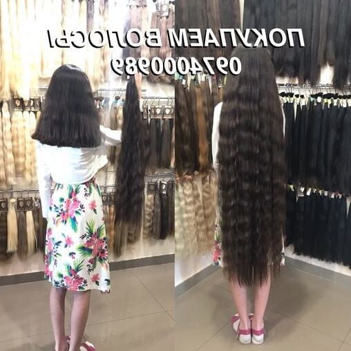 longhair cutting