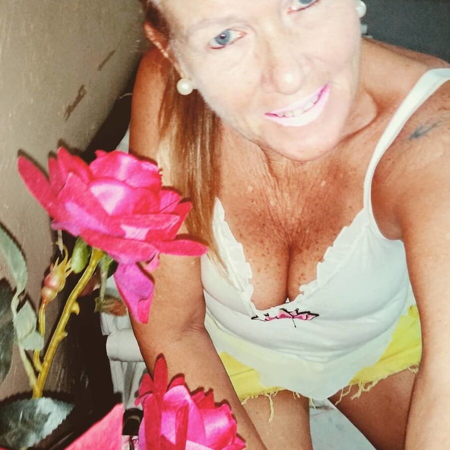 coroas brasileiras top - sueli rosumek