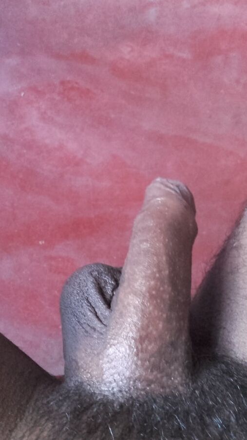 my cock