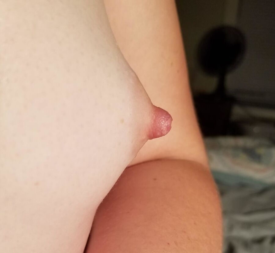 Giant Gallery Puffies Tit