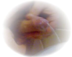 My Caption Picture Work --