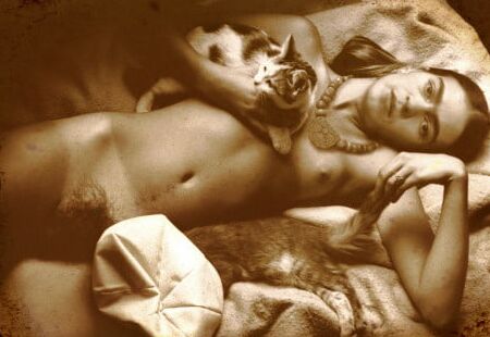 Cats