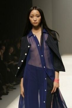Revealing Model