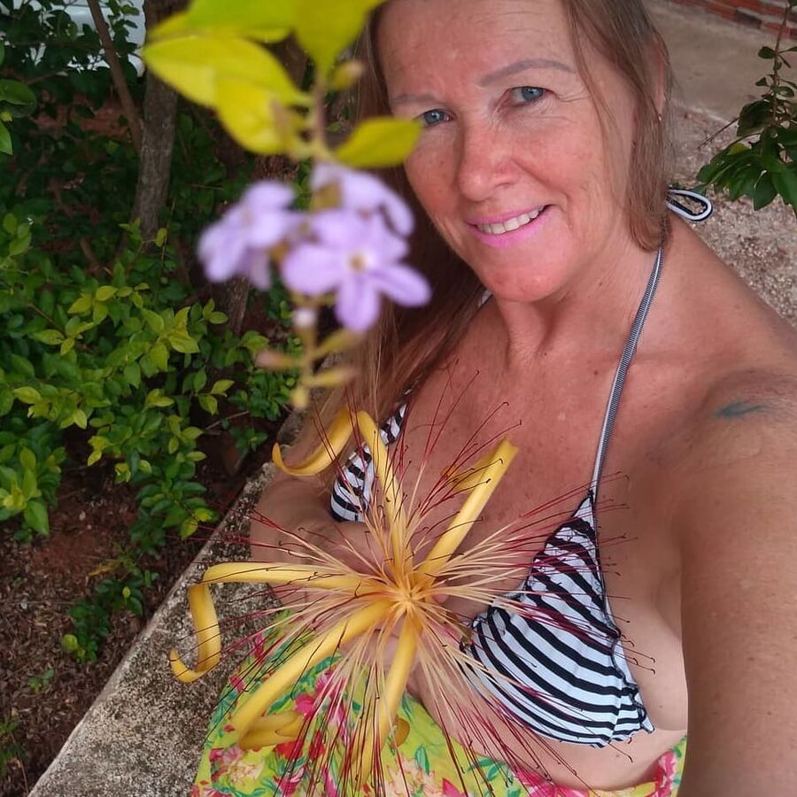 coroas brasileiras top - sueli rosumek