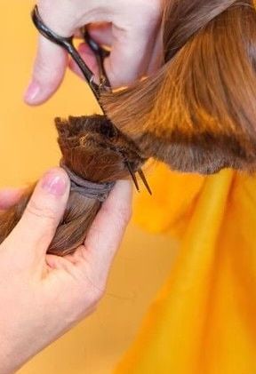 longhair cutting