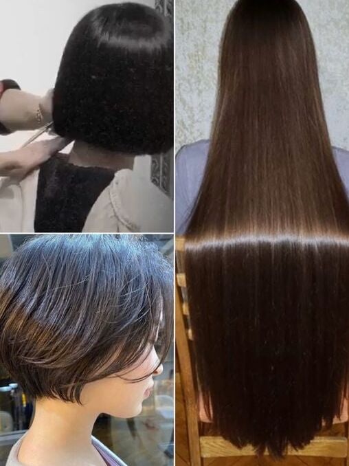 longhair cutting
