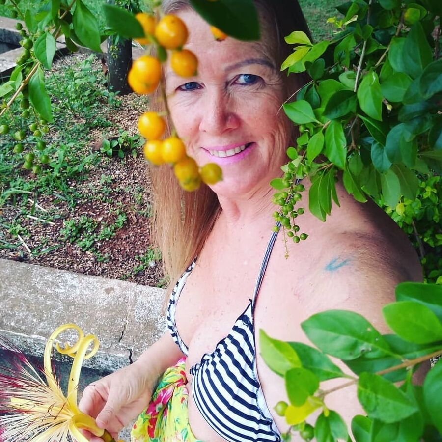 coroas brasileiras top - sueli rosumek