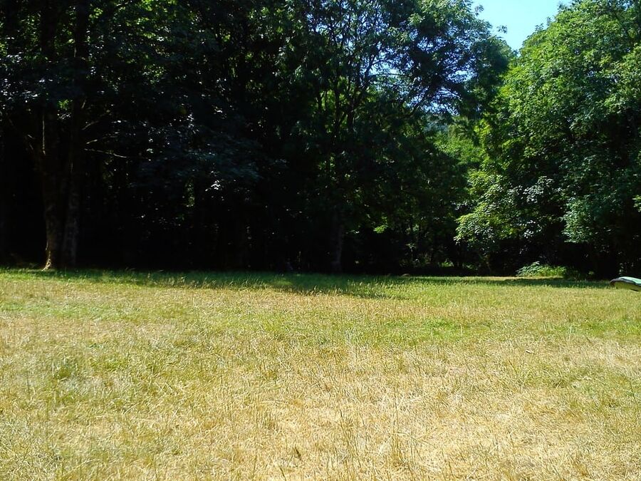 At the Park picnic