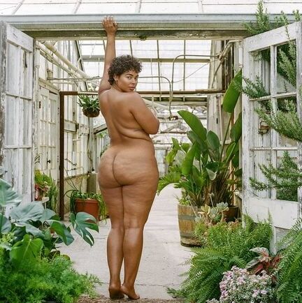 curvy n thick
