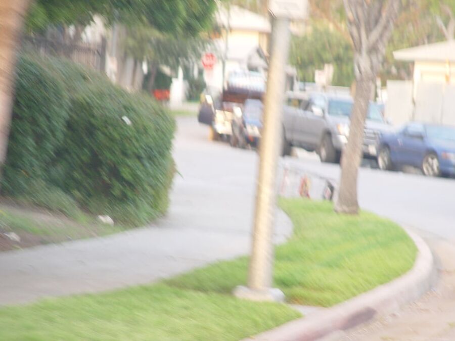C Bonetpels Naked in Public
