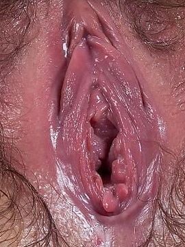 Pussy part