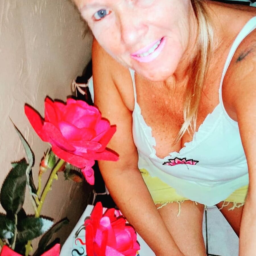 coroas brasileiras top - sueli rosumek
