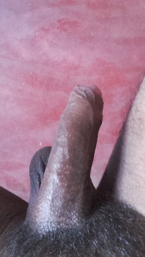 my cock