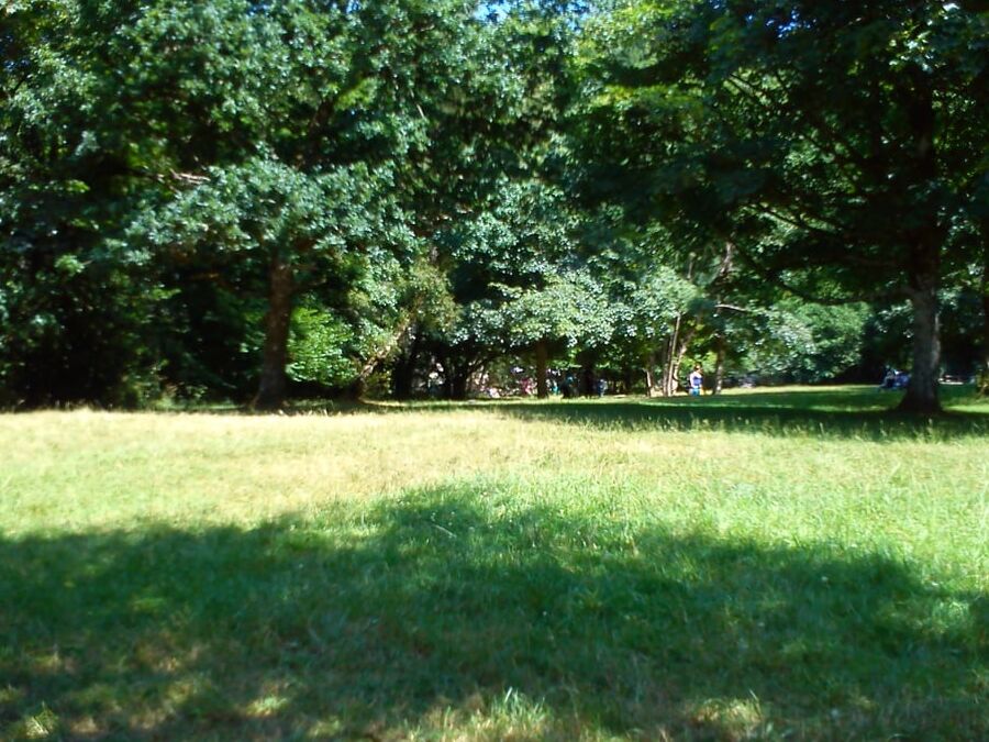 At the Park picnic