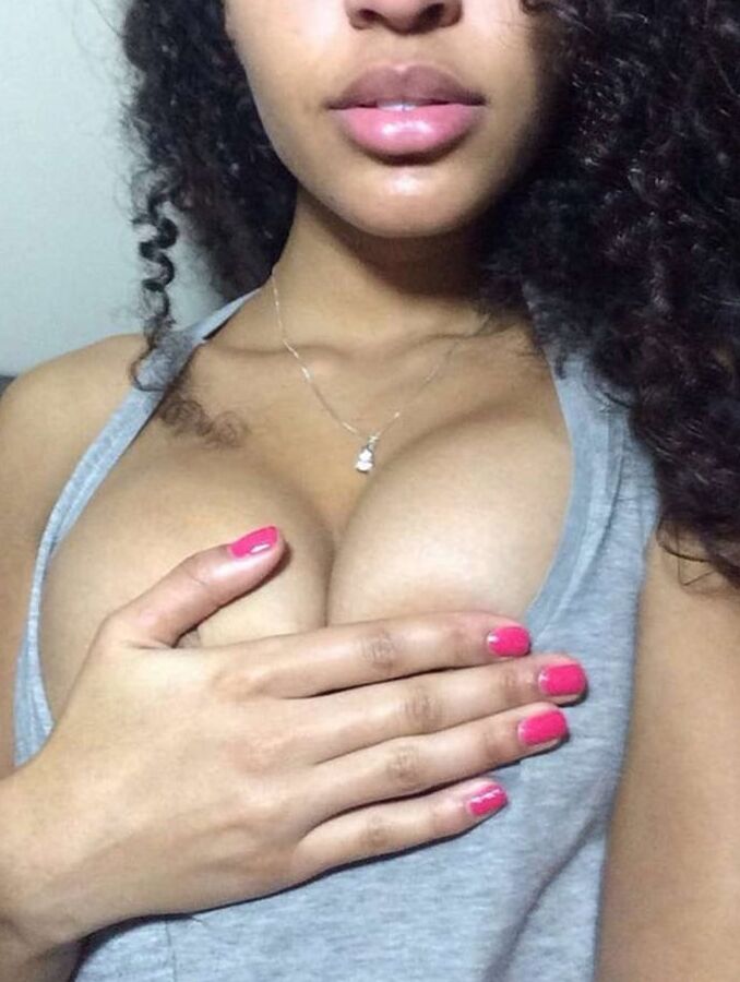 algerienne du